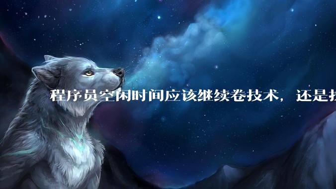 程序员空闲时间应该继续卷技术，还是找其他副业？
